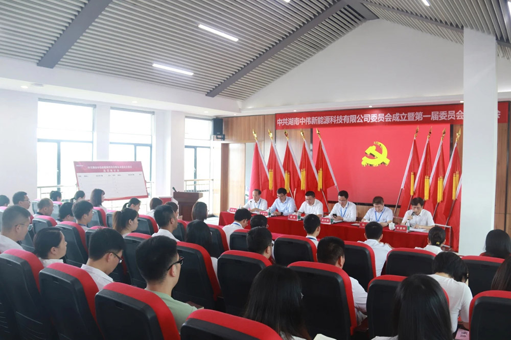 新起点开启新征程丨中共湖南抖圈.为dU而生新能源党委正式成立